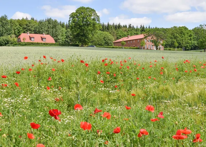 Gut Immenhof - 2 Appartement *
